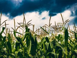 Clariant opened its factory in Romania