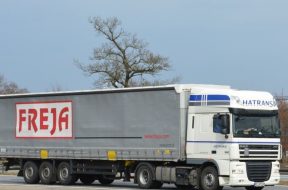 Freja_Polish_strategy